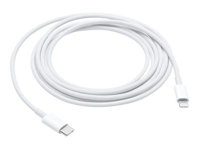 Apple lightning cable - Lightning/USB-C - 1 m